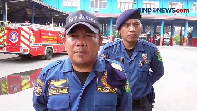 Terjebak 2 Hari di Atas Pohon, Kucing Berhasil Dievakuasi Tim Damkar Medan