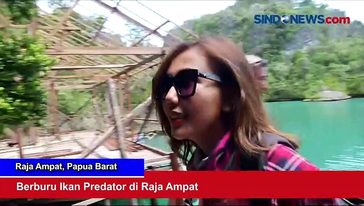 Berburu Ikan Predator di Raja Ampat, Papua Barat