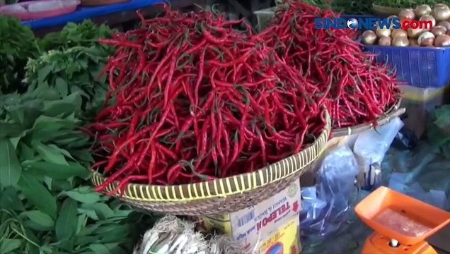 Harga Cabai Segar Mahal, Emak-Emak Berburu Cabai Kering