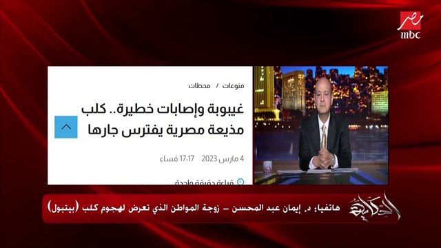 عمرو أديب: الكلب البيتبول اللي يوصل للطريقة دي ويعض حد كده لازم يتعدم