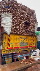 India_s Biggest Sabudana ( Sago ) Mega Factory