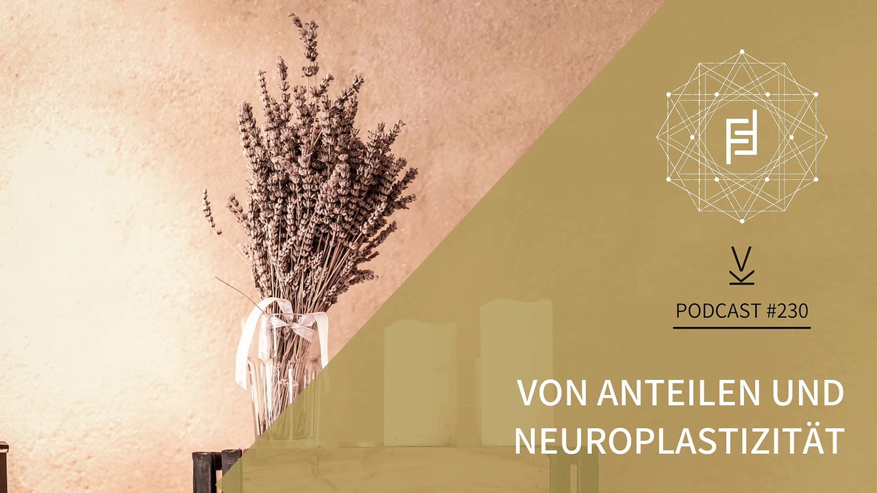 Von #Anteilen und #Neuroplastizität #Podcast 230