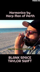 Taylor Swift- Blank Space (harmonica shorts) - Part 2