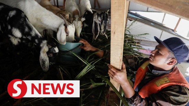 Floods: Number of evacuees in Johor rises to 44,860