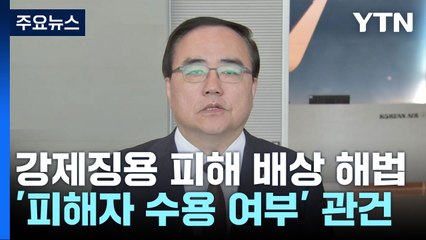 외교부, 강제징용 피해 배상 해법 내일 공식 발표 / YTN