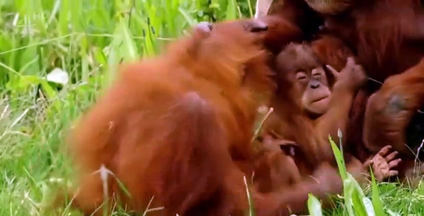 Zoo S02 E03