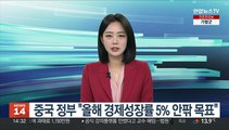 중국 정부 