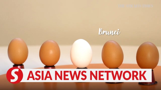 The Straits Times | Does it matter where our eggs come from?