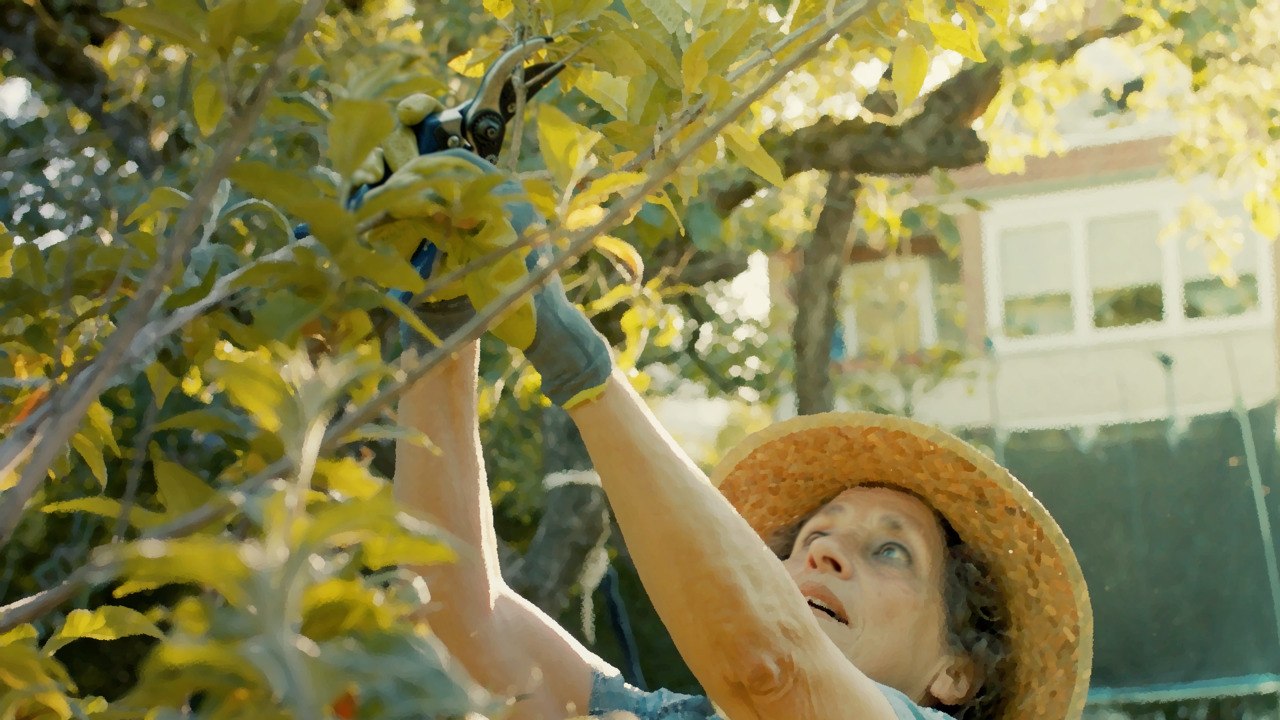 Take the Guesswork Out of Pruning Fruit Trees with These 9 Tips