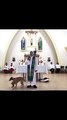 Dos perros ingresan a una iglesia y te sorprenderá lo que hacen junto al sacerdote