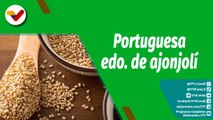 Cultivando Patria | 35.500 hectáreas sembradas de ajonjolí en el estado Portuguesa