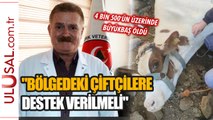 Depremzede çiftçilere özel destek çağrısı