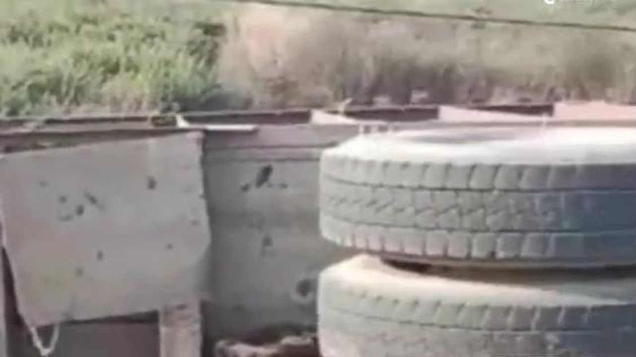 सीधी: तेज रफ्तार ट्रक अनियंत्रित होकर पलटा, 2 लोग हुए घायल