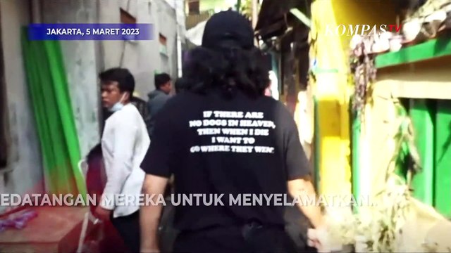 Aksi Relawan Satwa Cari Kucing Selamat di TKP Kebakaran Depo Pertamina Plumpang