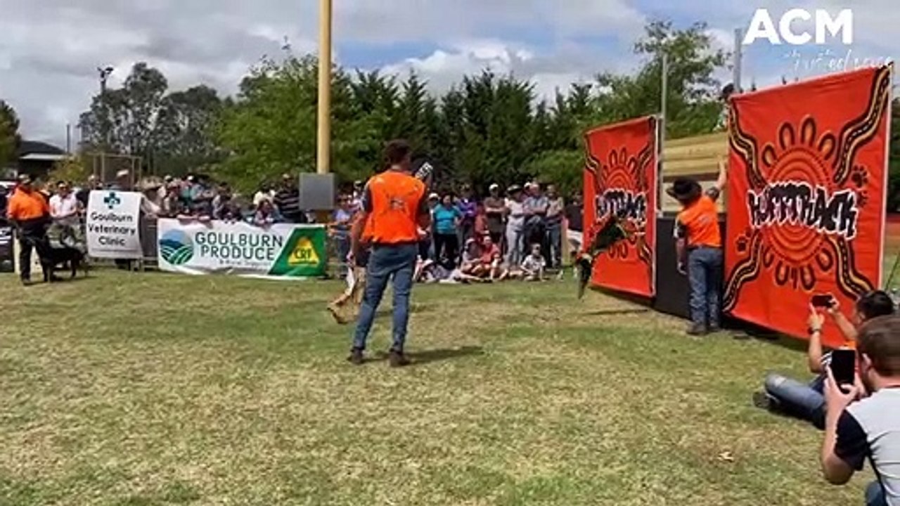 Dog jump - March 4, 2023 - Goulburn Post