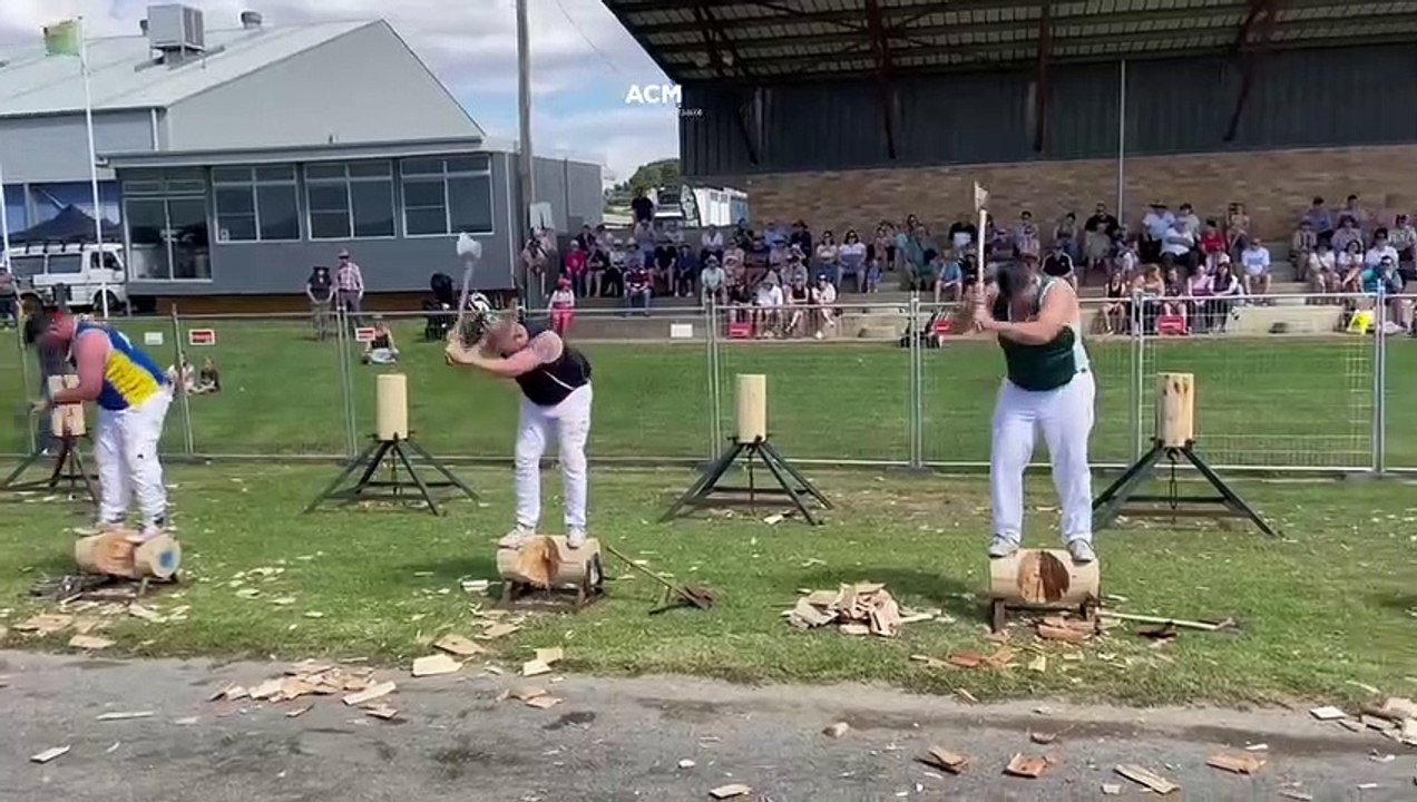 Woodchopping - March 6, 2023 - Goulburn Post