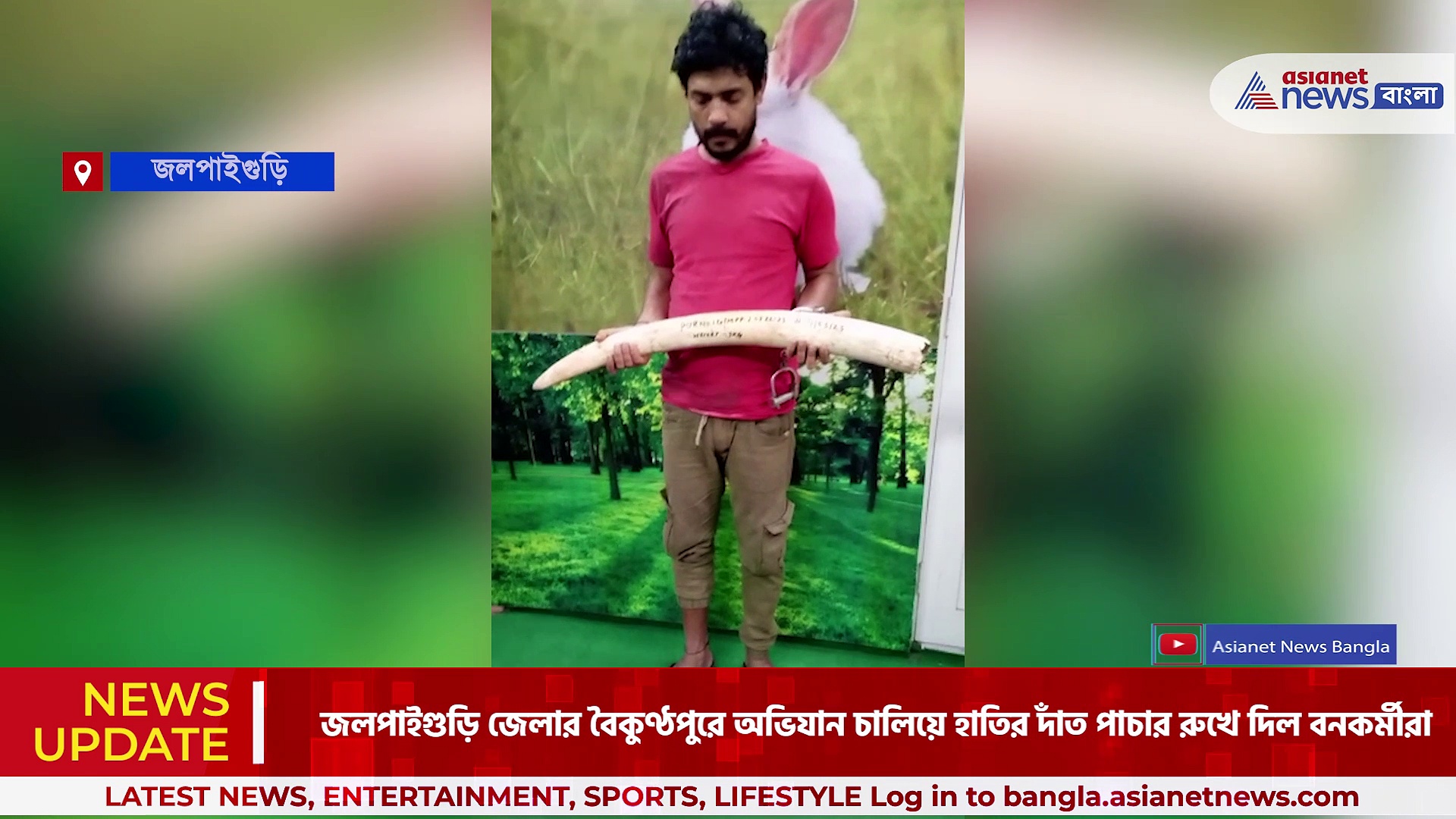 গোপন অভিযান চালিয়ে পাচারের আগেই উদ্ধার হাতির দাঁত, গ্রেফতার পাচারকারী