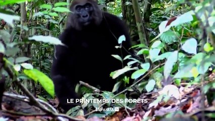 L'écologie près de chez nous - Bande annonce