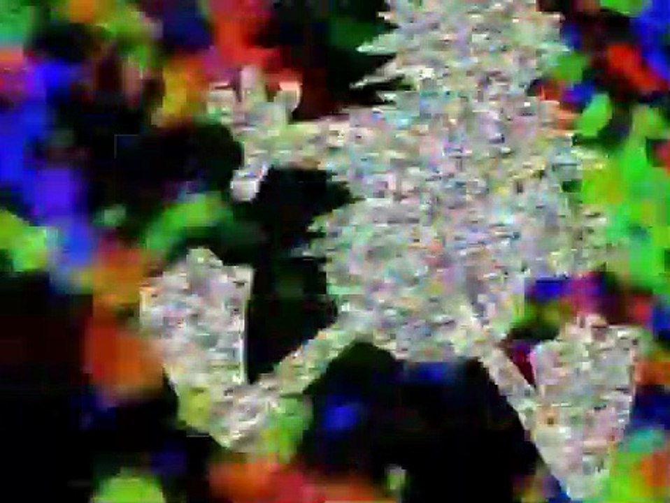 Quack Pack S01 E11