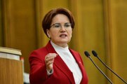 Deva Partisi'nden Meral Akşener'e açık kapı: Başka alternatiflere açığız