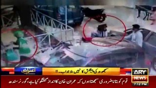 Criminals Most Wanted program on Madadgar-15 quick actions | ARY News