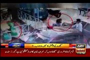 Criminals Most Wanted program on Madadgar-15 quick actions | ARY News