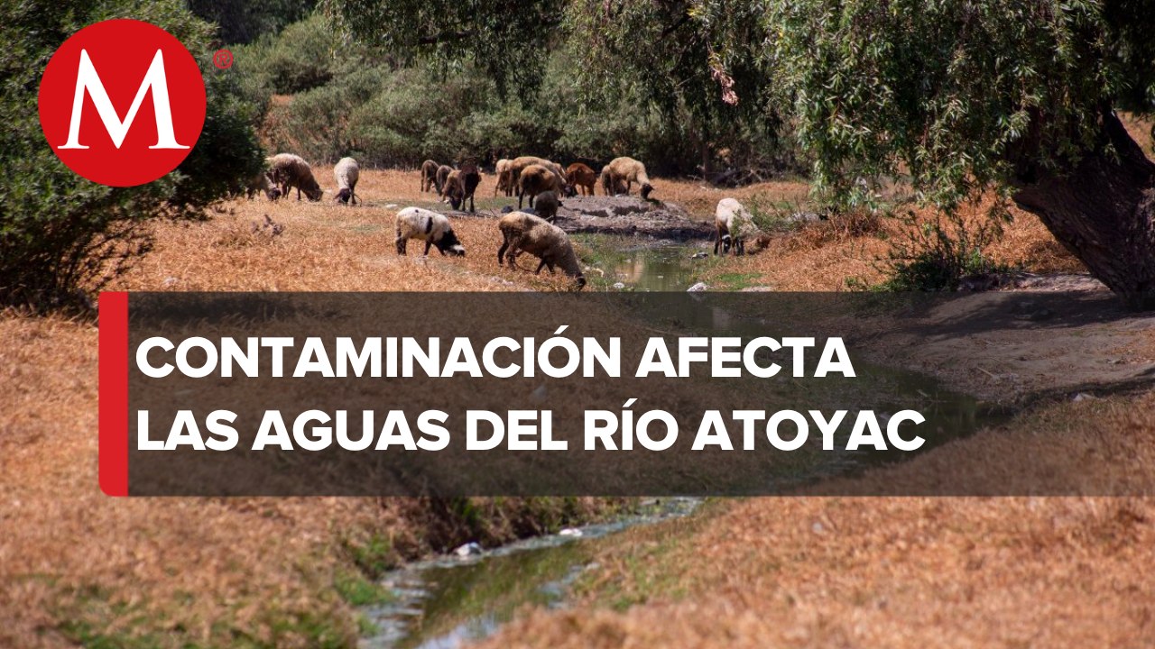 Tiraderos clandestinos provocan contaminación en el río de Atoyac y está alterando los cultivos