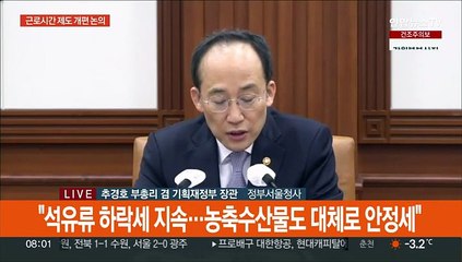 [현장연결] 추경호 "주 단위 연장근로 분기·반기·연까지 확대"