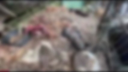 [뉴스라이더] "마리당 만 원씩 받고" 번식장서 버려진 개 수백 마리 굶어죽었다 / YTN