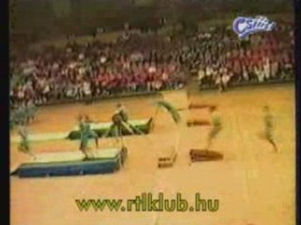CHEVAL D'ARCON