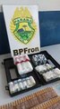 BPFron apreende grande quantidade de anabolizantes em ônibus de linha