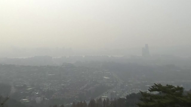 [날씨] 포근한 '경칩', 초미세먼지...대기 건조, 산불 주의 / YTN