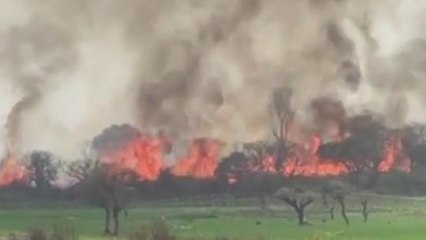 হবিবপুর : জঙ্গলে কি দাবানল! বাংলাদেশের আগুন নেভালো ভারত ,দেখুন ভিডিও