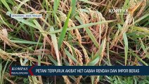 Ketua DPP PKS Bidang Tani Nelayan Riyono Menilai Kebijakan Impor Beras dan HET Rendah Rugikan Petani