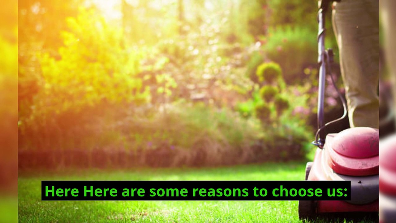 Lawn Care Services