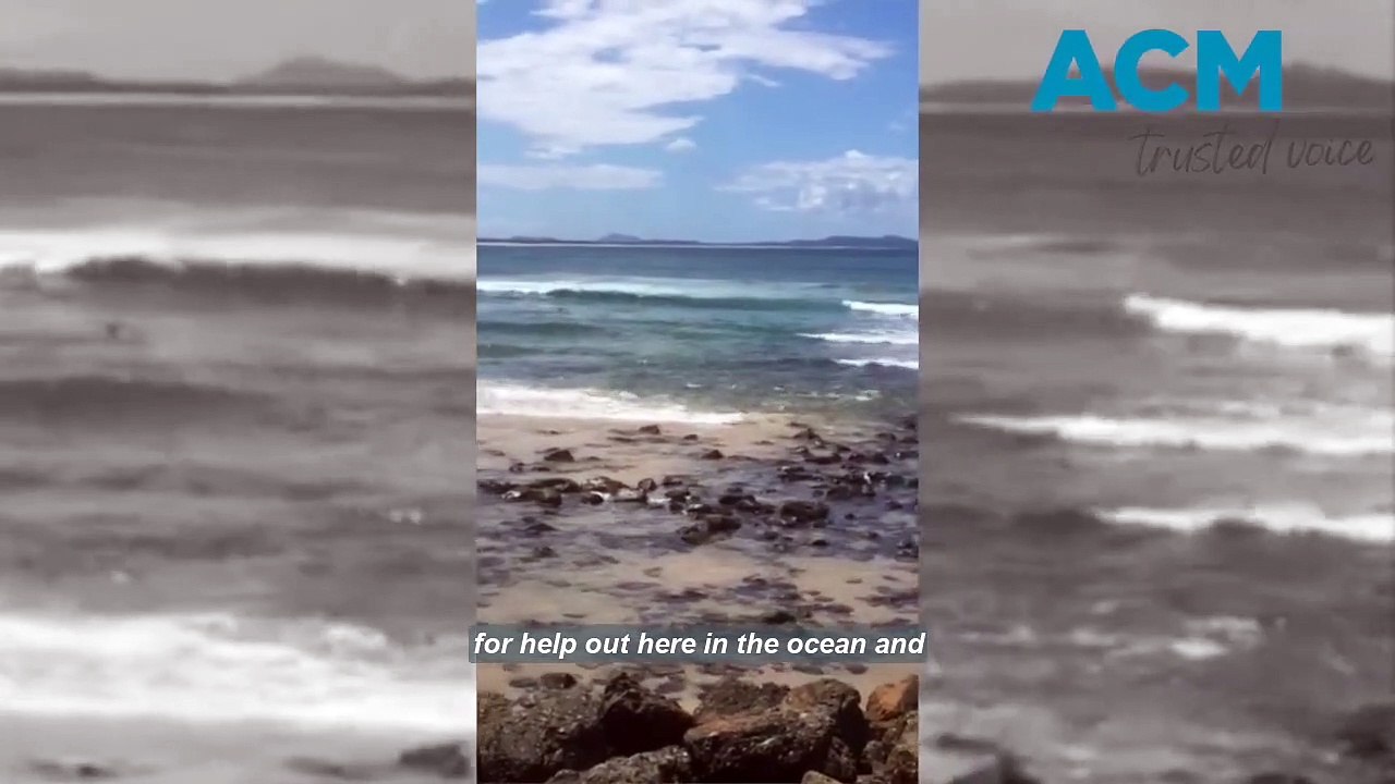 Crescent Head rescue | March 4, 2023