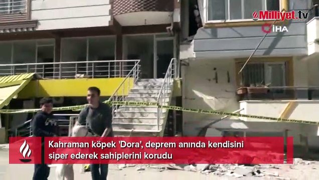 Kahraman köpek 'Dora', deprem anında kendisini siper ederek sahiplerini korudu