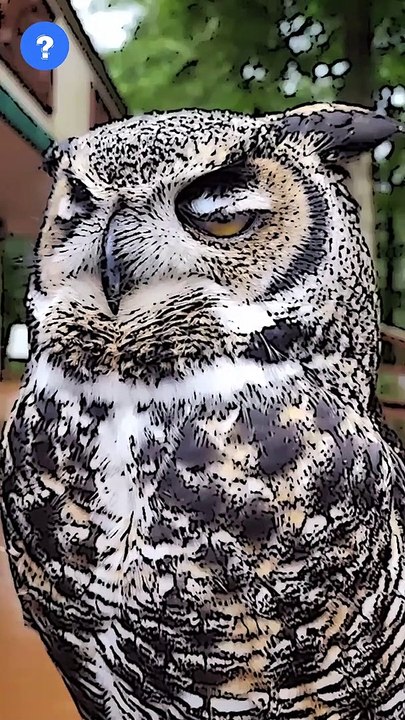 Owl facts in தமிழ்? | know This #shorts #youtubeshorts