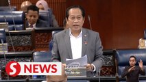 Nation's economy looks to be stable this year, says Ahmad Maslan
