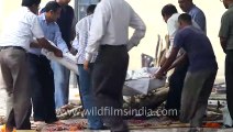Family placing dead body on pyre for cremation
