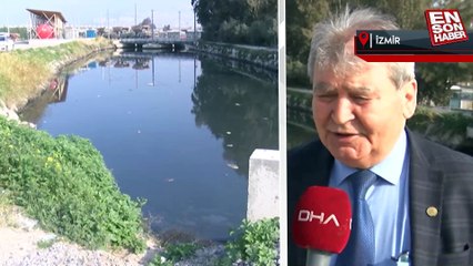 İzmir'de körfez Mart ayında kokmaya başladı