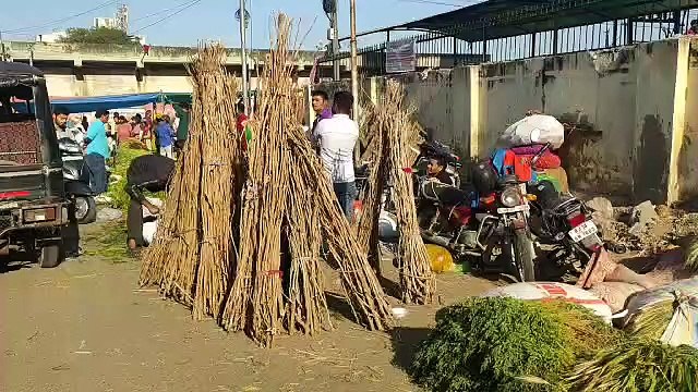 Holi 2023: जयपुर में होली मंगळाने का शुभ मुहूर्त है सिर्फ 12 मिनट..जानें अपने शहरों का भी मुहूर्त