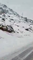 Un loup traverse devant mon collègue et moi