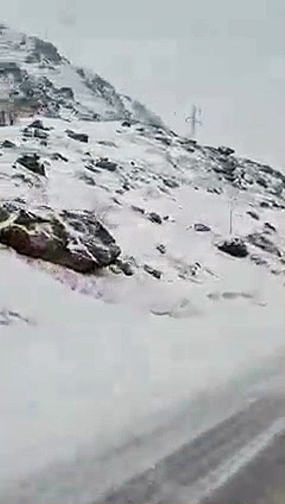 Un loup traverse devant mon collègue et moi