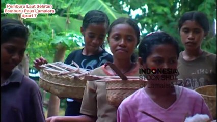 Pemburu Paus Tradisional di Lamalera, NTT 🐋