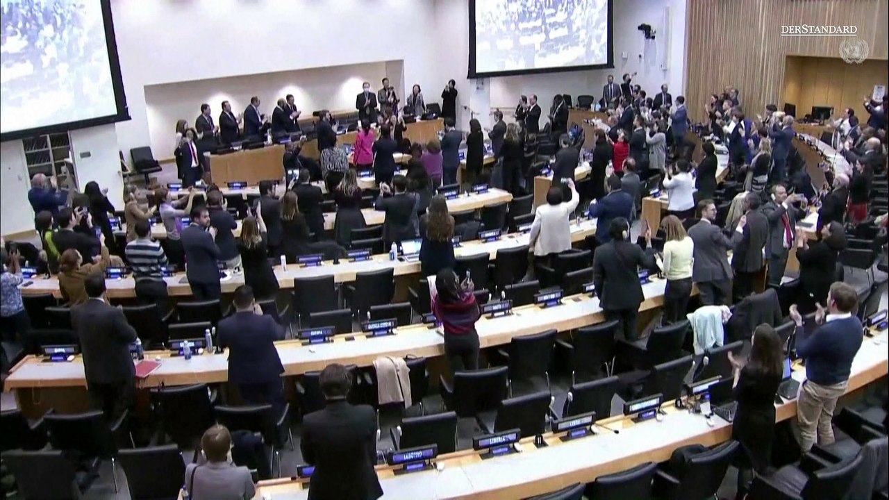 UN-Mitgliedsstaaten einigen sich auf Abkommen zum Schutz der Meere