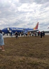 Küba'da uçak kuşlara çarptı, kabini duman kapladı