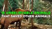 15 Unbelievable Animals That Saved Other Animals