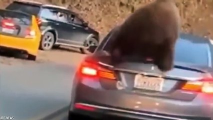 15 Times When the Glass Was Not Strong Enough