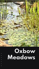 Uncover the Top 12 Things You Didn't Know Existed in Columbus, GA #shorts